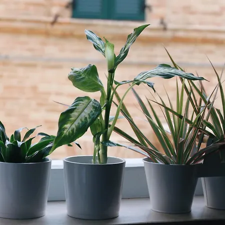 게스트하우스 Camilla 3*