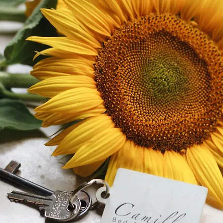 Camilla 3* Montecosaro (Marche)